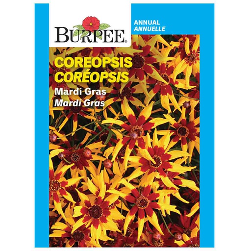 [10081318] BURPEE COREOPSIS