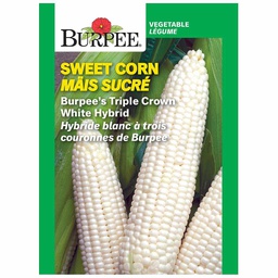 [10081326] BURPEE SWEET CORN - WHITE HYBRID 