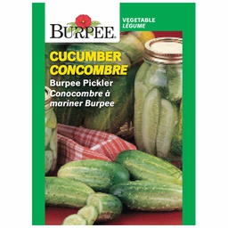 [10081330] BURPEE CUCUMBER - BURPEE PICKLER