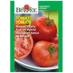 [10081354] BURPEE TOMATO - EARLY PICK VF HYBRID