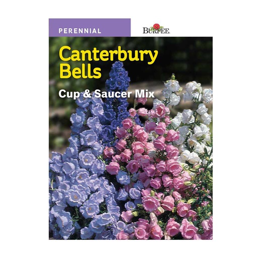 [10081366] BURPEE CANTERBURY BELLS