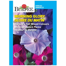 [10081392] BURPEE MORNING GLORY - BURPEE'S TALL MIXED COLOURS