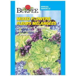 [10081394] BURPEE MIXED FLOWERS - CHARTREUSE &amp; PURPLE