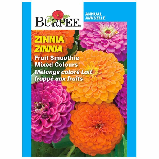 [10081424] BURPEE ZINNIA - FRUIT SMOOTHIE MIXED COLOURS