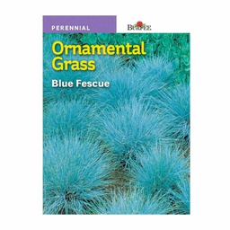 [10081446] BURPEE ORNAMENTAL GRASS - BLUE FESCUE