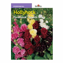 [10081450] BURPEE HOLLYHOCK - FORHOOK GIANTS MIXED COLOURS