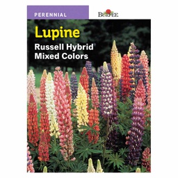[10081452] BURPEE LUPINE- RUSSELL HYBRID MIXED COLOURS