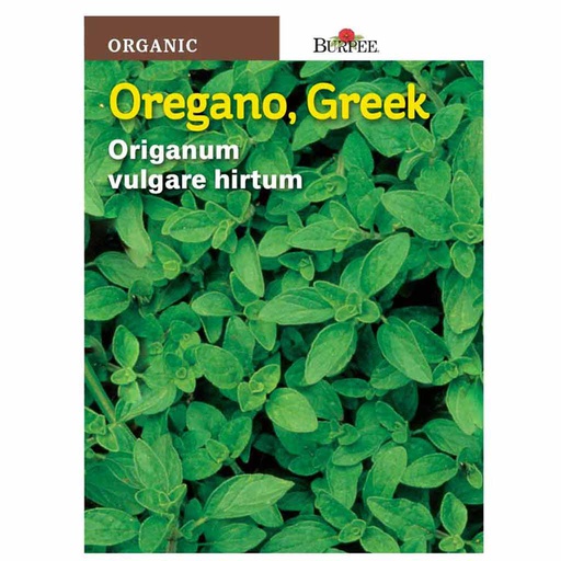 [10081476] BURPEE HERB OREGANO - GREEK