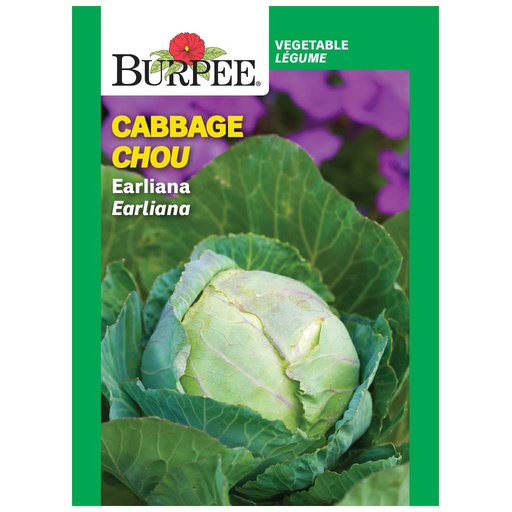 [10081500] BURPEE CABBAGE - EARLIANA 