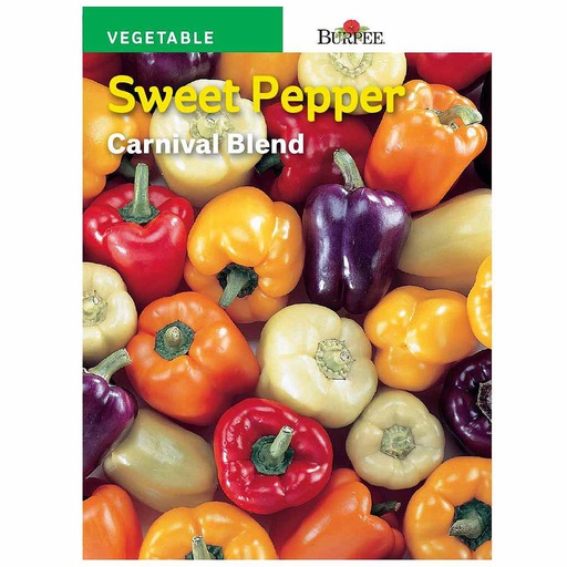[10081528] BURPEE SWEET PEPPER - CARNIVAL BLEND