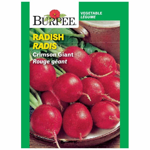[10081532] BURPEE RADISH - CRIMSON GIANT