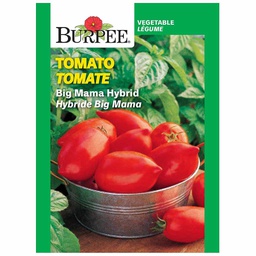 [10081560] BURPEE TOMATO - BIG MAMA HYBRID