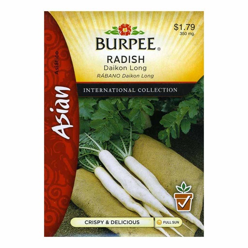 [10081578] BURPEE RADISH - DAIKON LONG