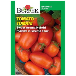 [10081592] BURPEE TOMATO - SWEET AROMA HYBRID