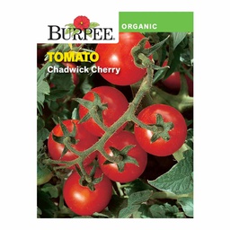 [10081610] BURPEE ORGANIC TOMATO - CHADWICK CHERRY