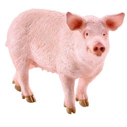 [10082890] DV - SCHLEICH FW PIG