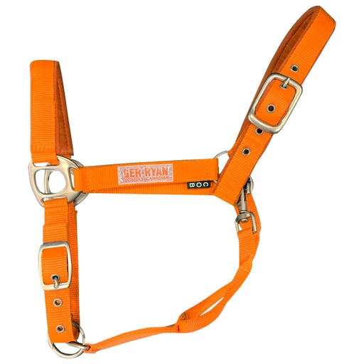 [10083482] GER-RYAN NYLON HALTER PADDED FULL ORANGE
