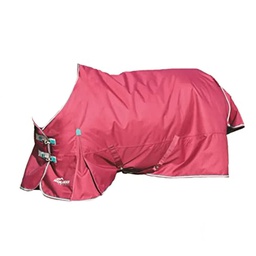 [10086402] DV - HIGHLANDER PLUS 300GM TURNOUT RASPBERRY 81&quot;