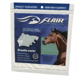 [17-004054] FLAIR NASAL STRIPS TURQUOISE 1PK