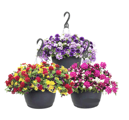 [10087778] SNIPPE GREENHOUSE 10&quot; HANGING BASKET ASST'D