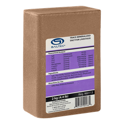 [10092450] SALTEC TRACE MINERAL LICK 2KG (PURPLE)