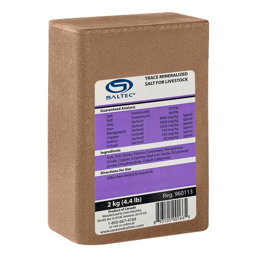 [10092450] SALTEC TRACE MINERAL LICK 2KG (PURPLE)