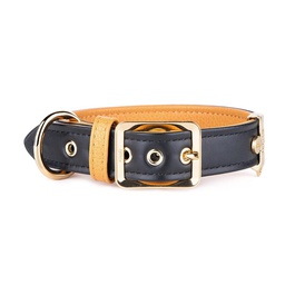 [144-274663] MY FAMILY HERMITAGE COLLAR LEATHER BLK &amp; OCHRE SM 27-31CM