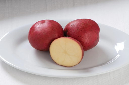 [10095194] GOLDEN CREEK NORLAND EARLY SEASON POTATOES 50LB