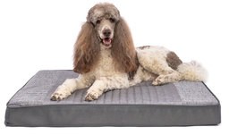 [10095248] CARPENTER COLE PET BED 30&quot; x 40&quot; x 4&quot;