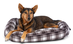 [10095256] DMB - CARPENTER RICKY PET BED 20&quot; x 30&quot; x 8&quot;