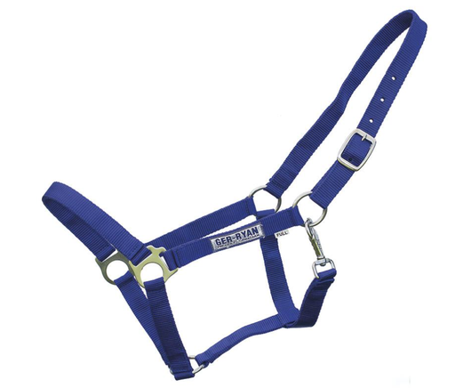 [10098300] GER-RYAN NYLON HALTER COB ROYAL BLUE