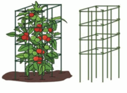 [10105578] PACIFIC RIM FOLDING TOMATO CAGE 36&quot; GREEN