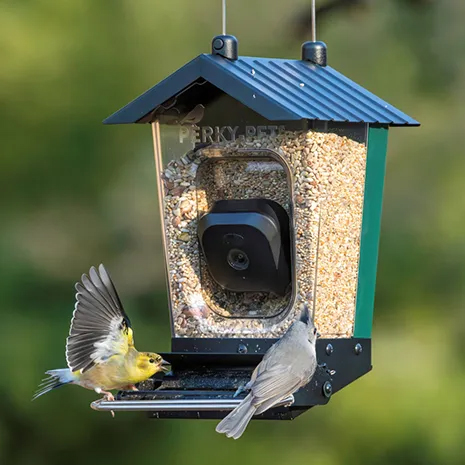 [10144802] PERKY PET SMART CAMERA SQUIRREL RESISTANT MIXED SEED BIRD FEEDER
