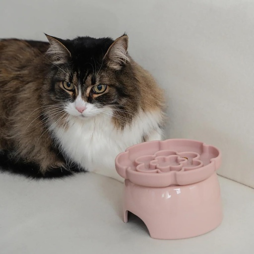 [10147136] DEXYPAWS RAISED CEREMIC SLOW FEEDER BOWL BLUSH PINK