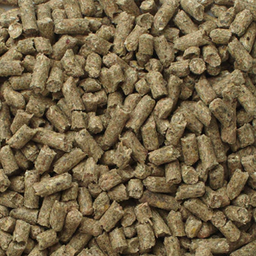 [10001020] PURINA MINI PIG CHOW 22.68KG