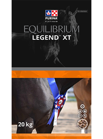 [10001560] PURINA EQUILIBRIUM LEGEND XT EXT 20KG