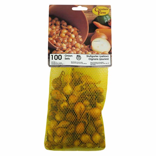 [10004728] NO.1 DUTCH-YELLOW ONIONS (100PK)