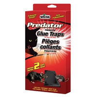 [10006614] WILSON RAT OUT RAT GLUE TRAP (2PK)(FORM. PREDATOR)