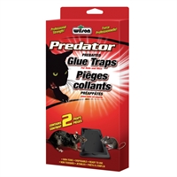 [10006614] DR - WILSON RAT OUT RAT GLUE TRAP 2PK