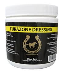 [10006804] LTOOS - GOLDEN HORSESHOE FURAZONE DRESSING [454G]