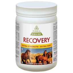 [10007112] PURICA RECOVERY EQ EXTRA STRENGTH 1KG