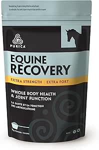 [10007112] PURICA RECOVERY EQ EXTRA STRENGTH 1KG