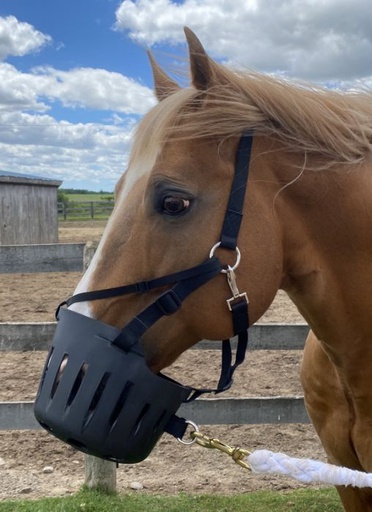 [10025394] GOOD BUDDY GRAZING MUZZLE HORSE SIZE (FORMERLY FULL)