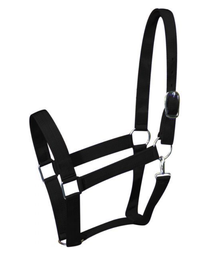 [10027562] GER-RYAN NYLON HALTER DRAFT 2&quot; SOLID COLOUR