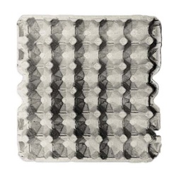 [116-222672] DR - EGG TRAY FLAT - HOLDS 30 EGGS