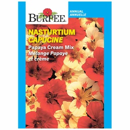 [182-886689] BURPEE NASTURTIUM - PAPAYA CREAM MIX
