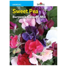 [182-887020] BURPEE SWEET PEA - BURPEE'S GALAXY MIXED COLOURS
