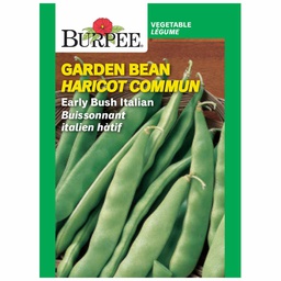 [186-890891] BURPEE GARDEN BEAN - EARLY BUSH ITALIAN