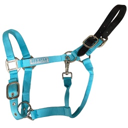 [118-197696] GER-RYAN NYLON HALTER W/ LEATHER BREAKAWAY PONY TURQUOISE