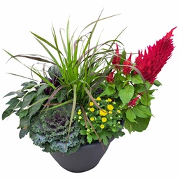 [176-123462] SNIPPE FALL MIXED PLANTER 13&quot;